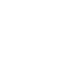 Shoebox Comics